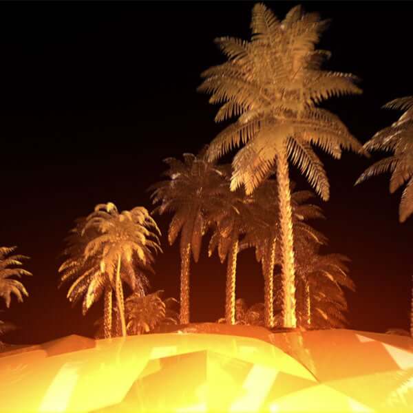 Golden Palms VJ Loop