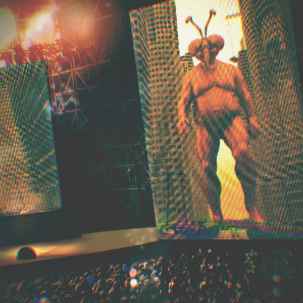 Giant Fly Monster VJ Loop