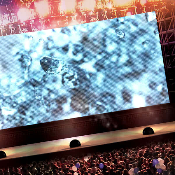 Summer VJ Loops Pack